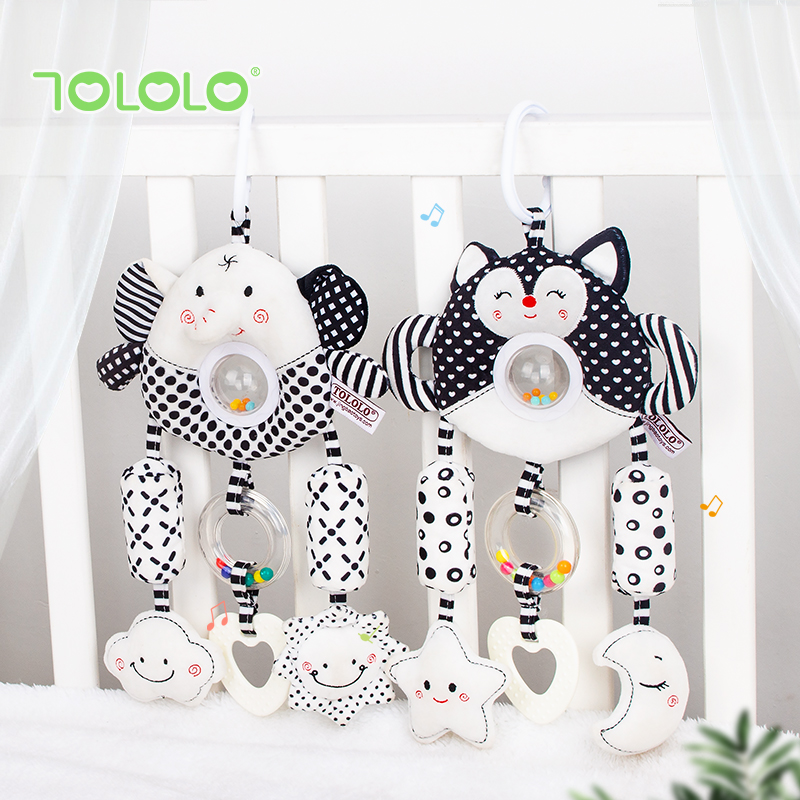 3ac81b6d9ab9c3715cb1474be4cc0072.jpg